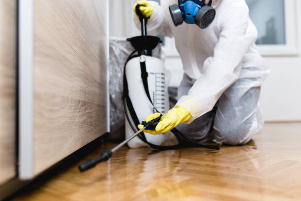 Best Bed Bug Extermination  in Roslyn, NY