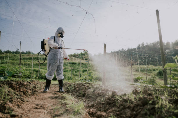 Best Mosquito Control Services  in Roslyn, NY